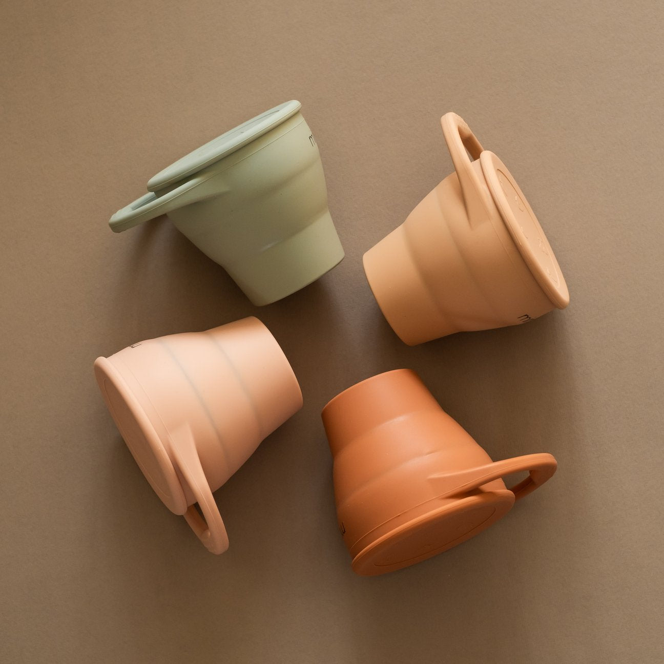 Silicone Snack Cup